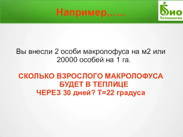 Например,….. Вы внесли 2 особи макролофуса на м2 или 20000 особей на