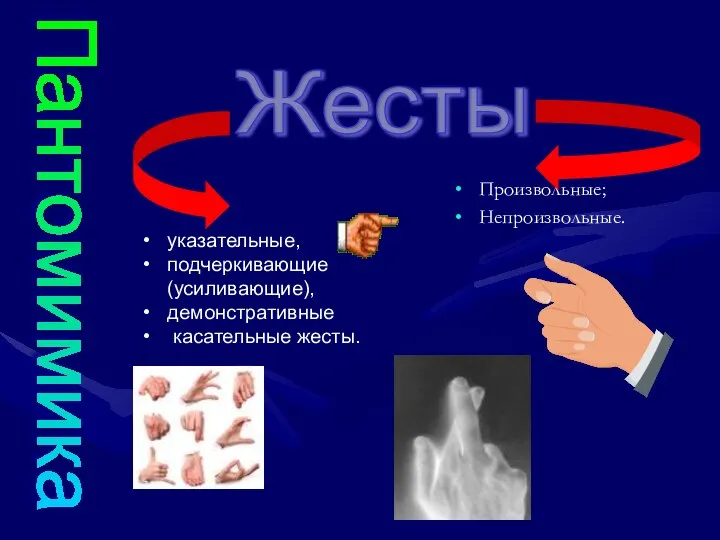 Пантомимика Жесты указательные, подчеркивающие (усиливающие), демонстративные касательные жесты. Произвольные; Непроизвольные.