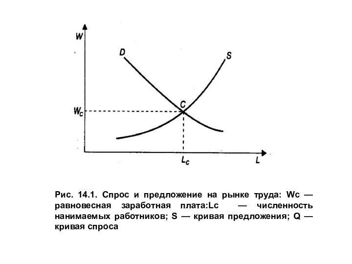 Рис. 14.1. Спрос и предложение на рынке труда: Wc — равновесная заработная
