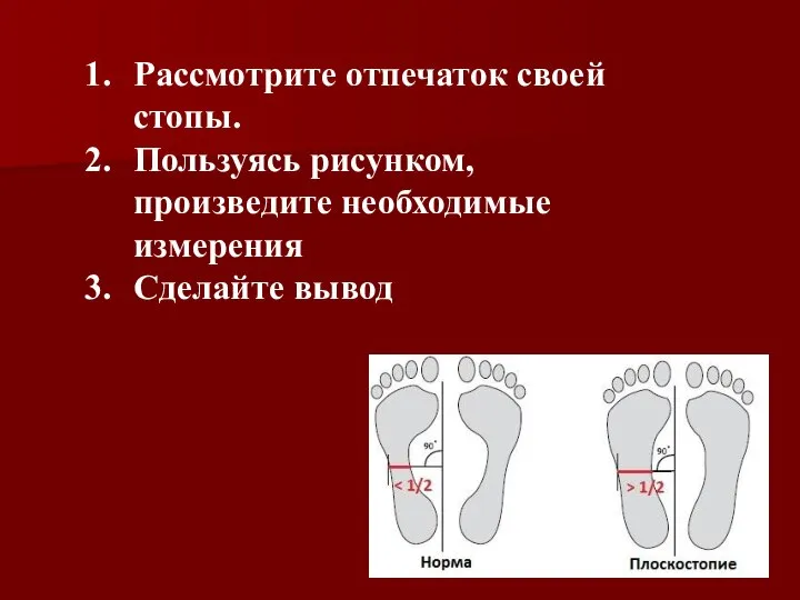 Рассмотрите отпечаток своей стопы. Пользуясь рисунком, произведите необходимые измерения Сделайте вывод