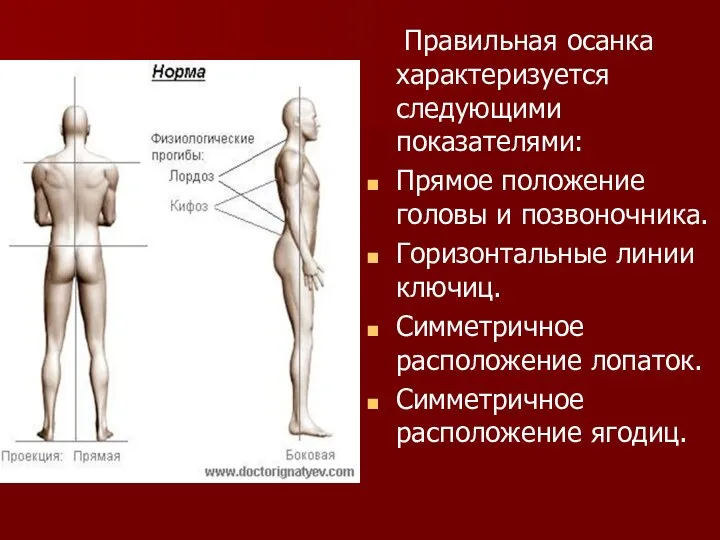 Правильная осанка характеризуется следующими показателями: Прямое положение головы и позвоночника. Горизонтальные линии