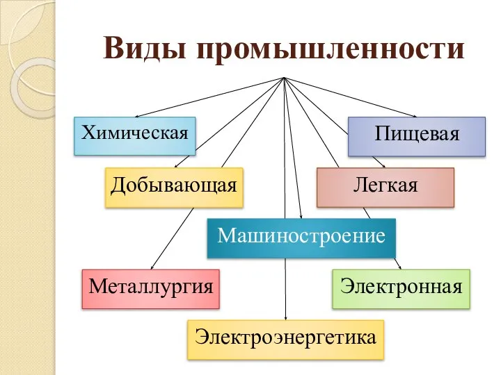 Виды промышленности Химическая Добывающая Металлургия Электронная Легкая Электроэнергетика Пищевая Машиностроение