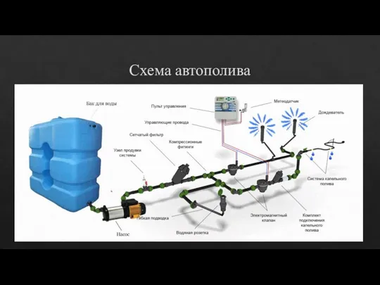 Схема автополива