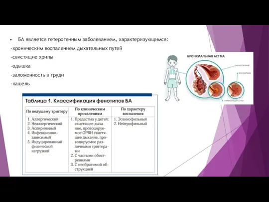 БА является гетерогенным заболеванием, характеризующимся: -хроническим воспалением дыхательных путей -свистящие хрипы -одышка -заложенность в груди -кашель