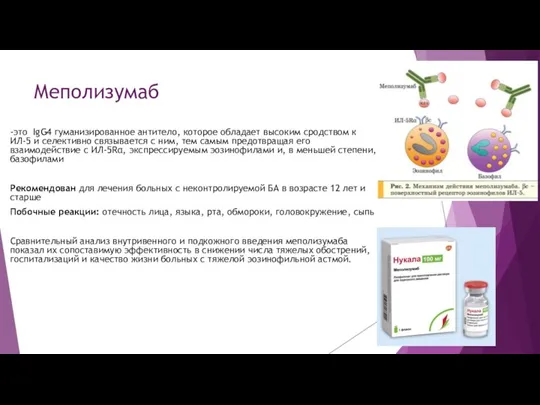 Меполизумаб -это IgG4 гуманизированное антитело, которое обладает высоким сродством к ИЛ-5 и