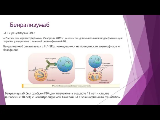 Бенрализумаб -АТ к рецепторам ИЛ-5 в России его зарегистрировали 25 апреля 2019