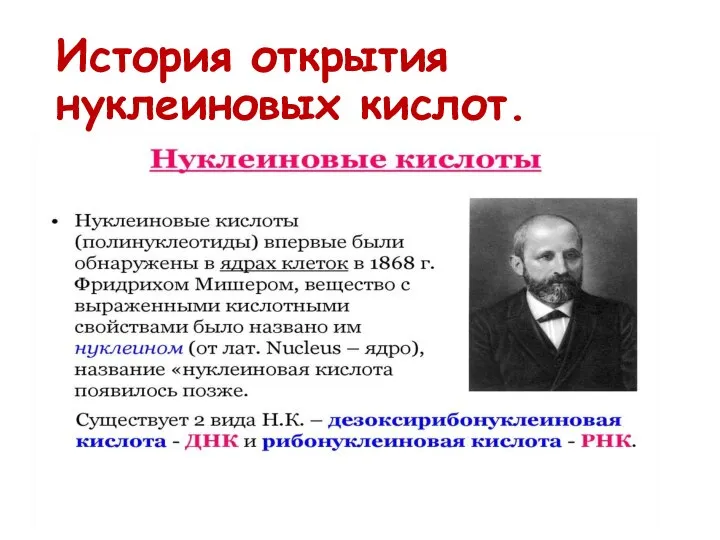 История открытия нуклеиновых кислот.