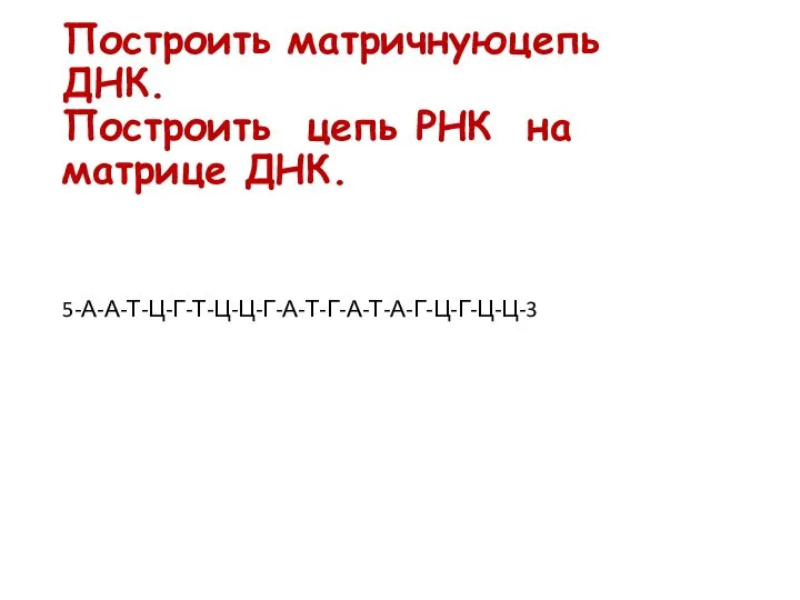 Построить матричнуюцепь ДНК. Построить цепь РНК на матрице ДНК. 5-А-А-Т-Ц-Г-Т-Ц-Ц-Г-А-Т-Г-А-Т-А-Г-Ц-Г-Ц-Ц-3