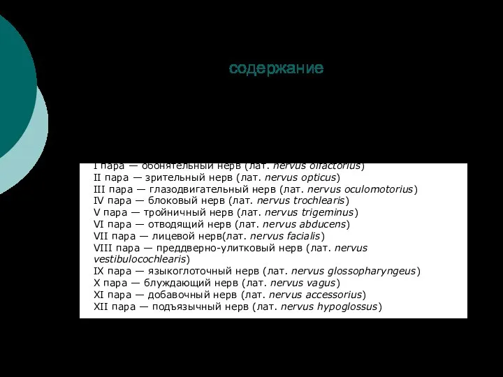 содержание 1)Кровообращение головного мозга -артериальное -венозное 2)Черепно-мозговые нервы I пара — обонятельный