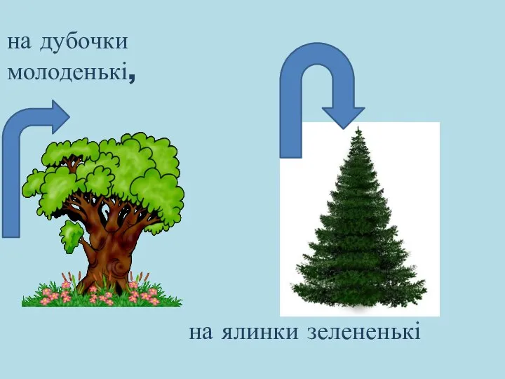 на дубочки молоденькі‚ на ялинки зелененькі