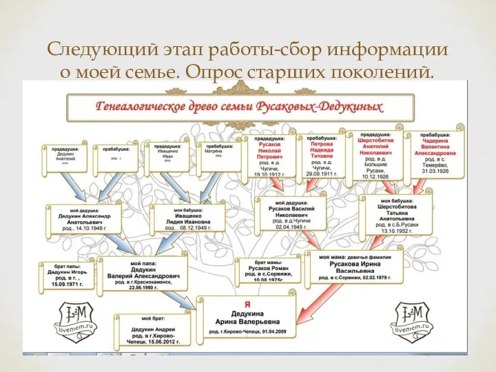 Следующий этап работы-сбор информации о моей семье. Опрос старших поколений.