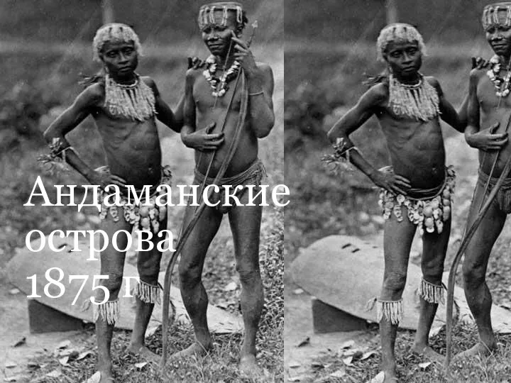 Андаманские острова 1875 г