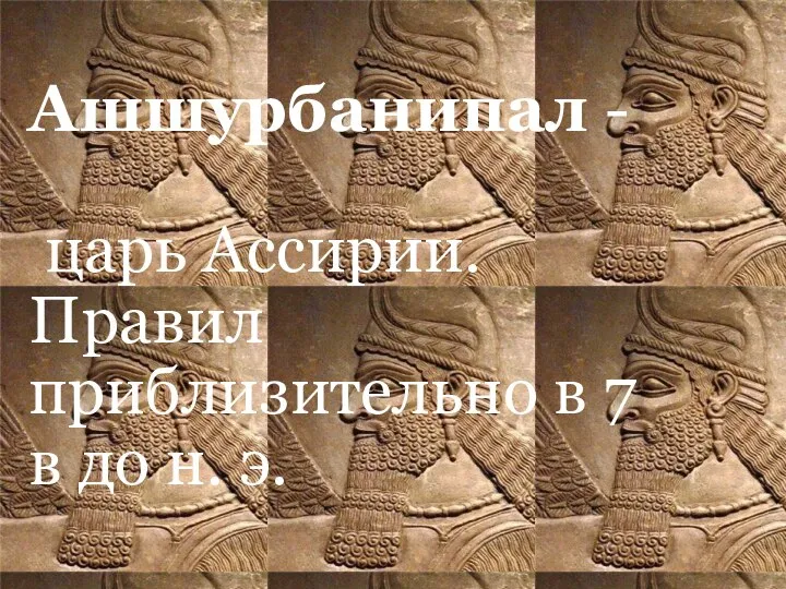 Ашшурбанипал - царь Ассирии. Правил приблизительно в 7 в до н. э.