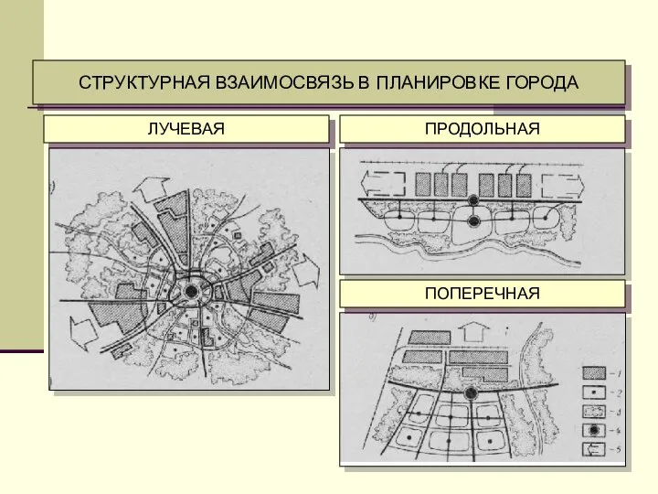 СТРУКТУРНАЯ ВЗАИМОСВЯЗЬ В ПЛАНИРОВКЕ ГОРОДА ЛУЧЕВАЯ ПРОДОЛЬНАЯ ПОПЕРЕЧНАЯ