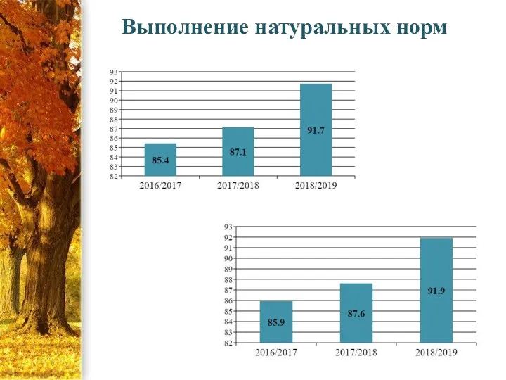 Выполнение натуральных норм