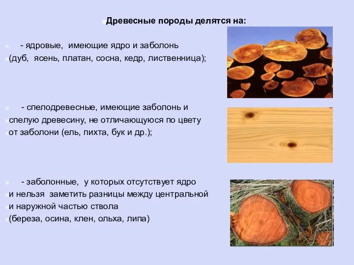 Древесные породы делятся на: - ядровые, имеющие ядро и заболонь (дуб, ясень,