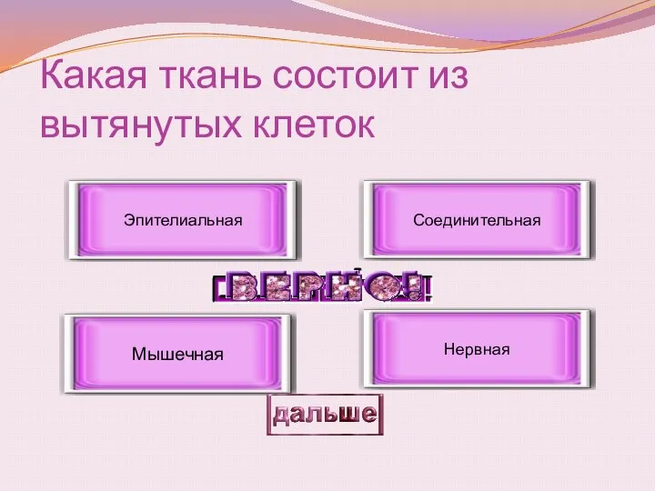 Какая ткань состоит из вытянутых клеток Мышечная Эпителиальная Соединительная Нервная