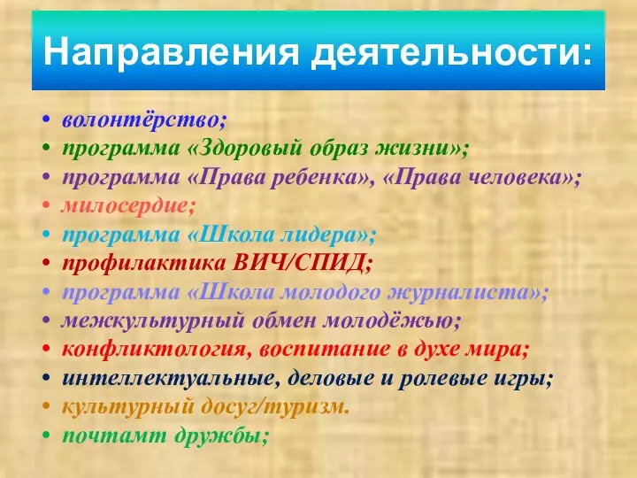 Направления деятельности: волонтёрство; программа «Здоровый образ жизни»; программа «Права ребенка», «Права человека»;