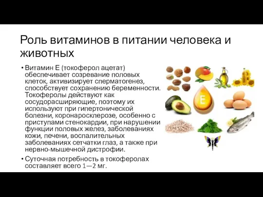 Роль витаминов в питании человека и животных Витамин Е (токоферол ацетат) обеспечивает