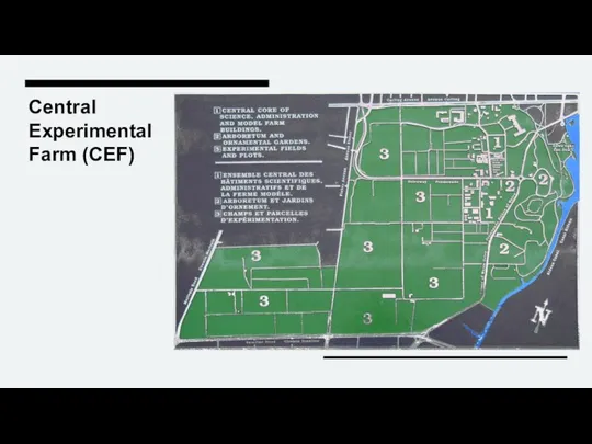 Central Experimental Farm (CEF)