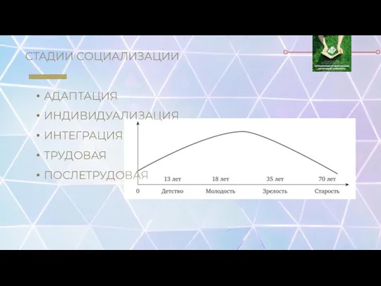 СТАДИИ СОЦИАЛИЗАЦИИ АДАПТАЦИЯ ИНДИВИДУАЛИЗАЦИЯ ИНТЕГРАЦИЯ ТРУДОВАЯ ПОСЛЕТРУДОВАЯ