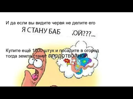 ММММ МММ И да если вы видите червя не делите его Купите