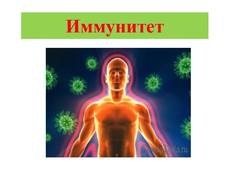 Иммунитет