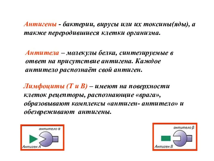 Антигены - бактерии, вирусы или их токсины(яды), а также переродившиеся клетки организма.