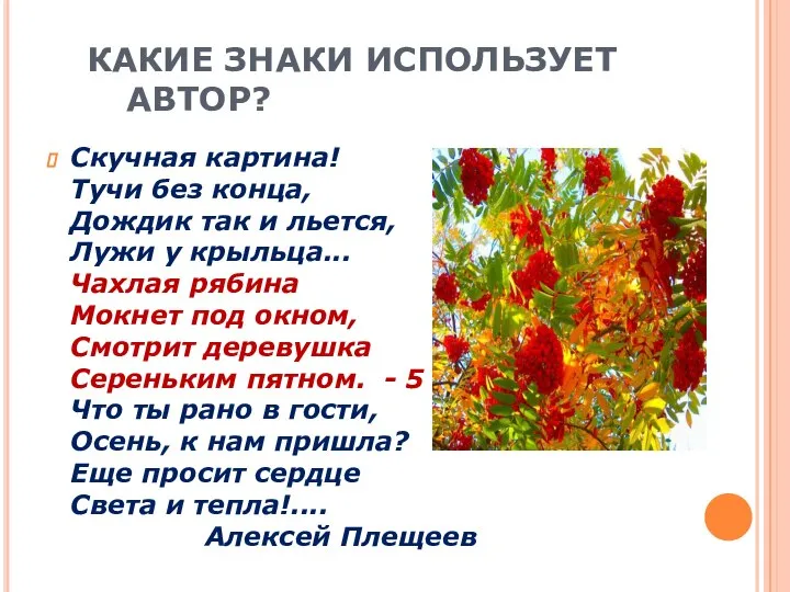 КАКИЕ ЗНАКИ ИСПОЛЬЗУЕТ АВТОР? Скучная картина! Тучи без конца, Дождик так и