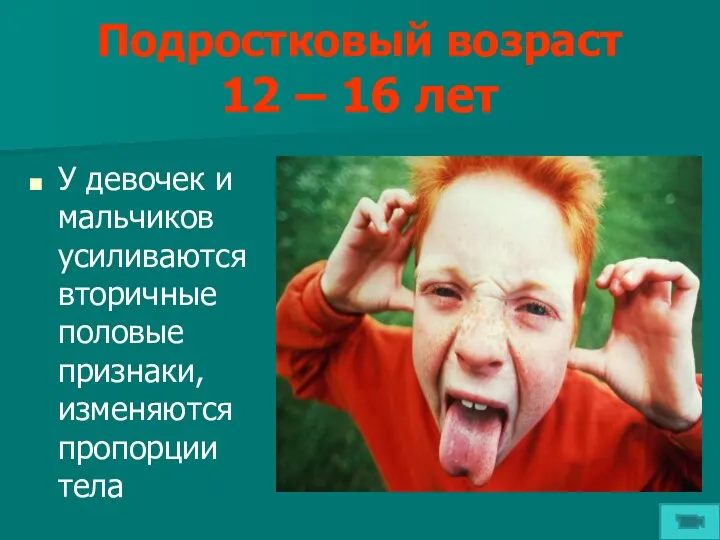 Подростковый возраст 12 – 16 лет У девочек и мальчиков усиливаются вторичные