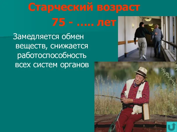 Старческий возраст 75 - ….. лет Замедляется обмен веществ, снижается работоспособность всех систем органов