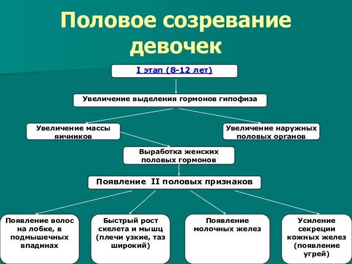 Половое созревание девочек I этап (8-12 лет) Увеличение выделения гормонов гипофиза Увеличение