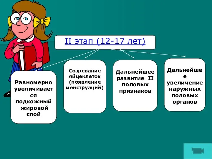 II этап (12-17 лет) Равномерно увеличивается подкожный жировой слой Созревание яйцеклеток (появление