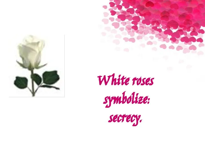 White roses symbolize: secrecy.