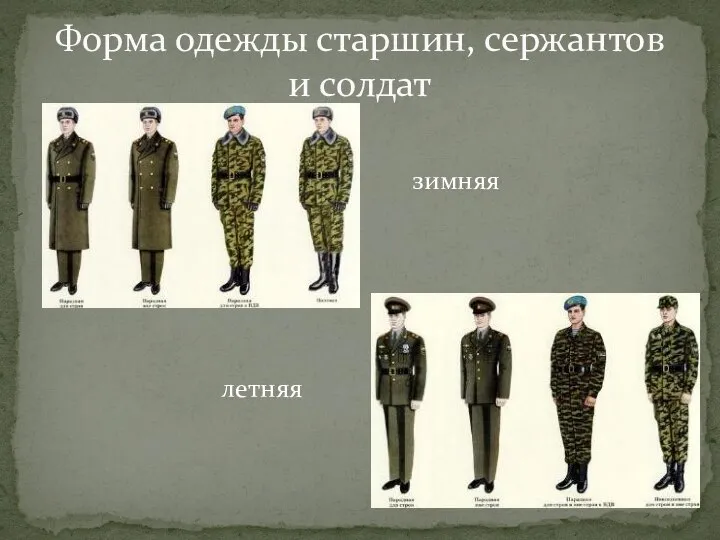 зимняя Форма одежды старшин, сержантов и солдат летняя
