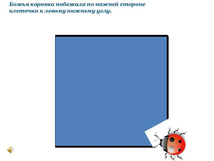 Божья коровка побежала по нижней стороне клеточки к левому нижнему углу.