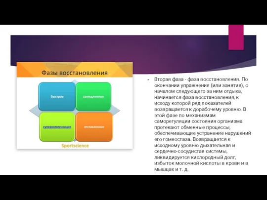 Вторая фаза - фаза восстановления. По окончании упражнения (или занятия), с началом