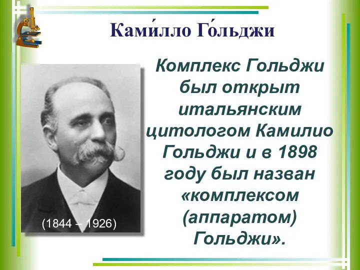 Ками́лло Го́льджи Комплекс Гольджи был открыт итальянским цитологом Камилио Гольджи и в