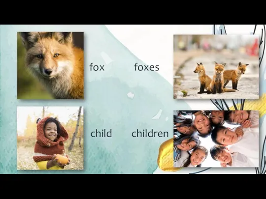 fox foxes child children