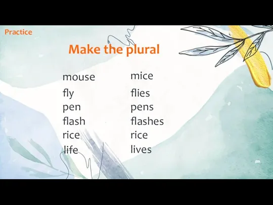 Make the plural mouse fly pen flash rice life mice flies pens flashes rice lives Practice