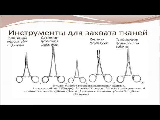 Удлиненная треугольная форма губок Трапецивидная форма губок с зубчиками Овальная форма губок