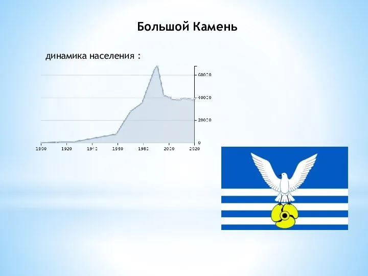 Большой Камень динамика населения :