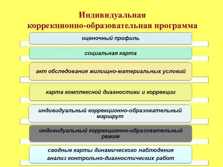 Индивидуальная коррекционно-образовательная программа