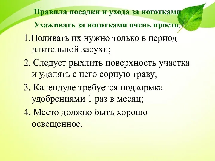 Правила посадки и ухода за ноготками Ухаживать за ноготками очень просто. 1.Поливать