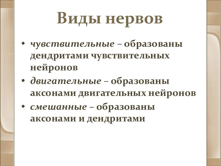 Виды нервов чувствительные – образованы дендритами чувствительных нейронов двигательные – образованы аксонами