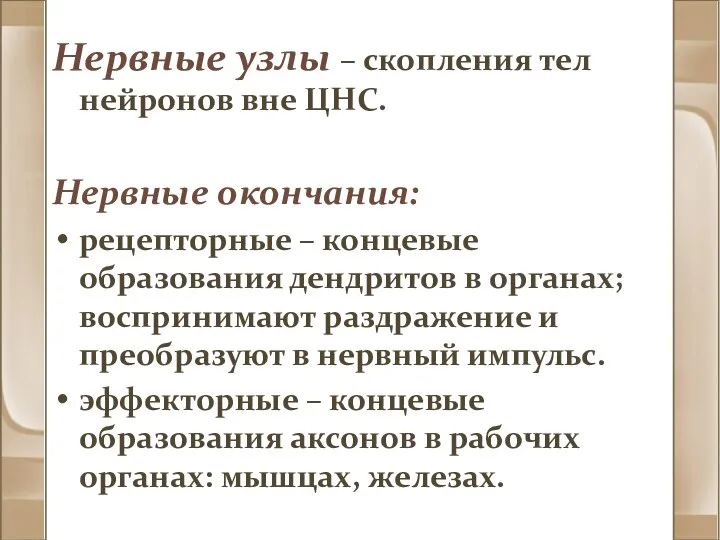 Нервные узлы – скопления тел нейронов вне ЦНС. Нервные окончания: рецепторные –