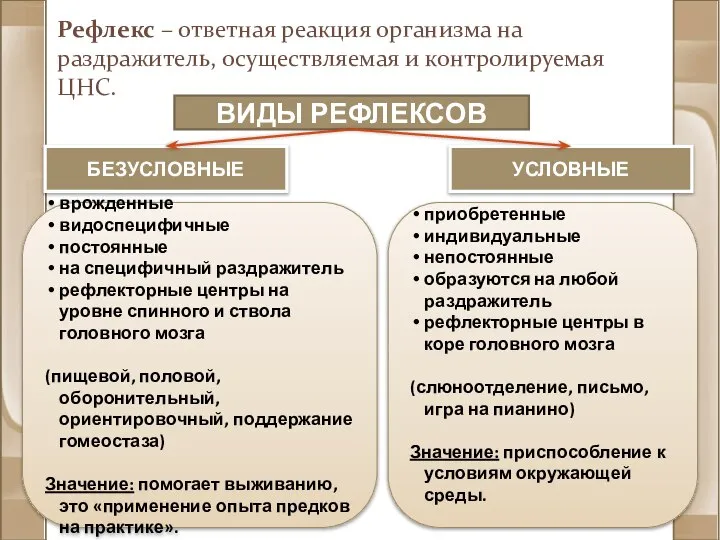 ВИДЫ РЕФЛЕКСОВ УСЛОВНЫЕ БЕЗУСЛОВНЫЕ врожденные видоспецифичные постоянные на специфичный раздражитель рефлекторные центры