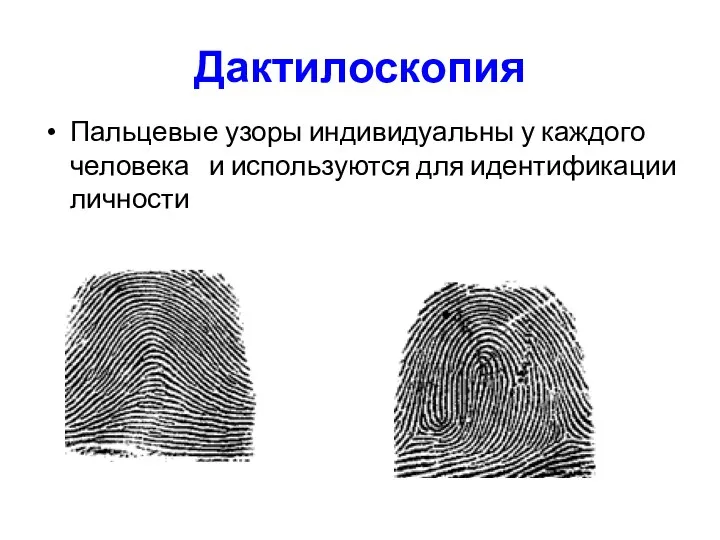 Дактилоскопия Пальцевые узоры индивидуальны у каждого человека и используются для идентификации личности