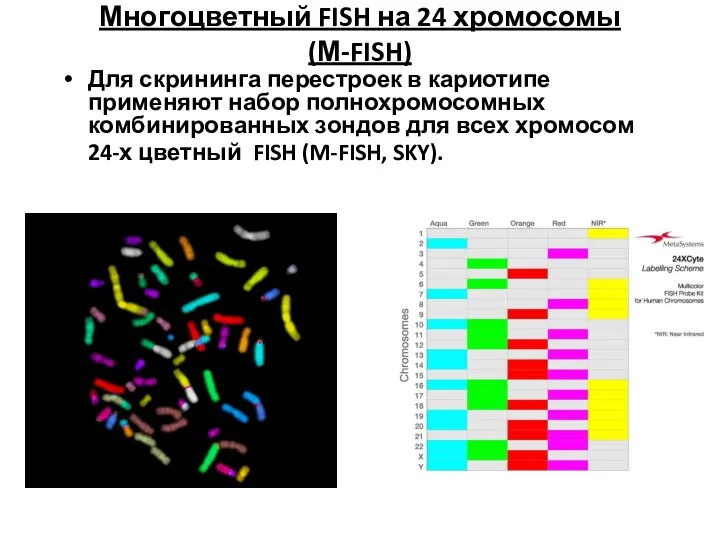 Многоцветный FISH на 24 хромосомы (М-FISH) Для скрининга перестроек в кариотипе применяют