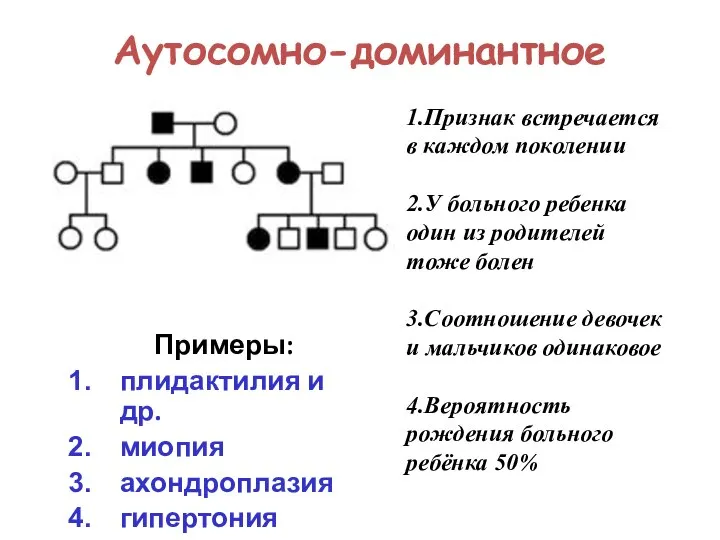 Аутосомно-доминантное Примеры: плидактилия и др. миопия ахондроплазия гипертония 1.Признак встречается в каждом